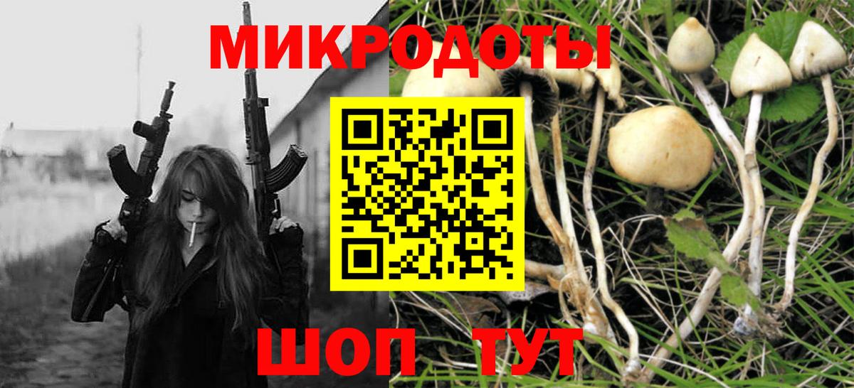 Галлюциногенные грибы ЛСД  Вход с VPN  Приморско-Ахтарск 