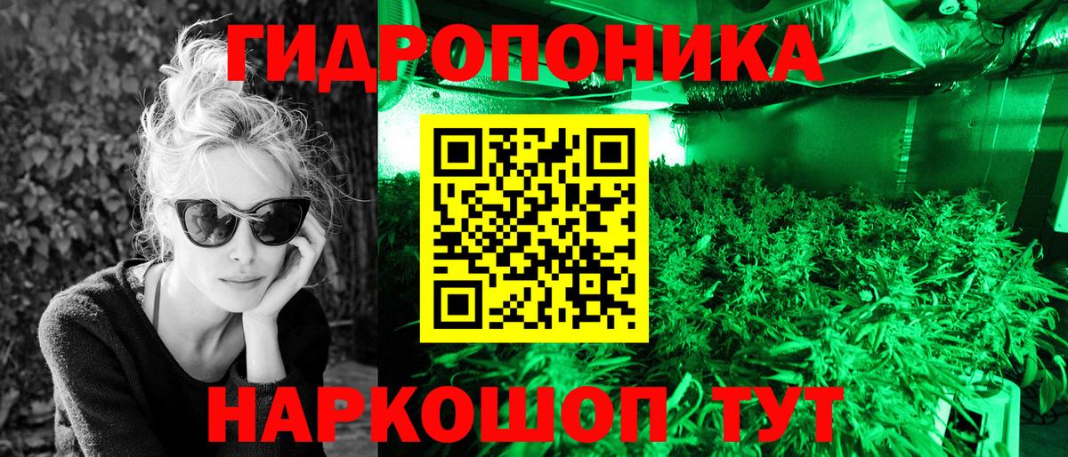 Канабис MAZAR  Бошки Шишки конопля  Вход с VPN  Приморско-Ахтарск 